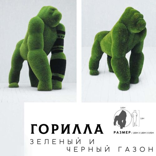 Горилла зелёный и чёрный газон