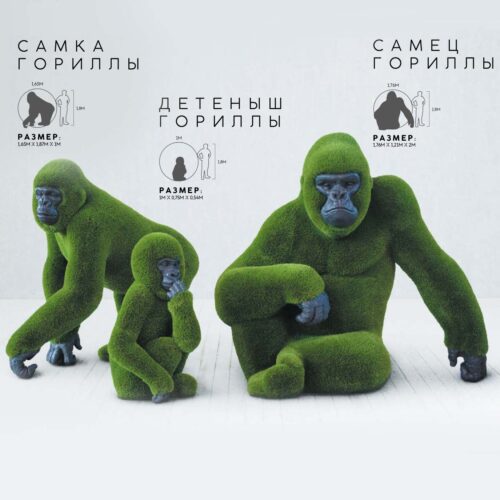 Семейство горилл