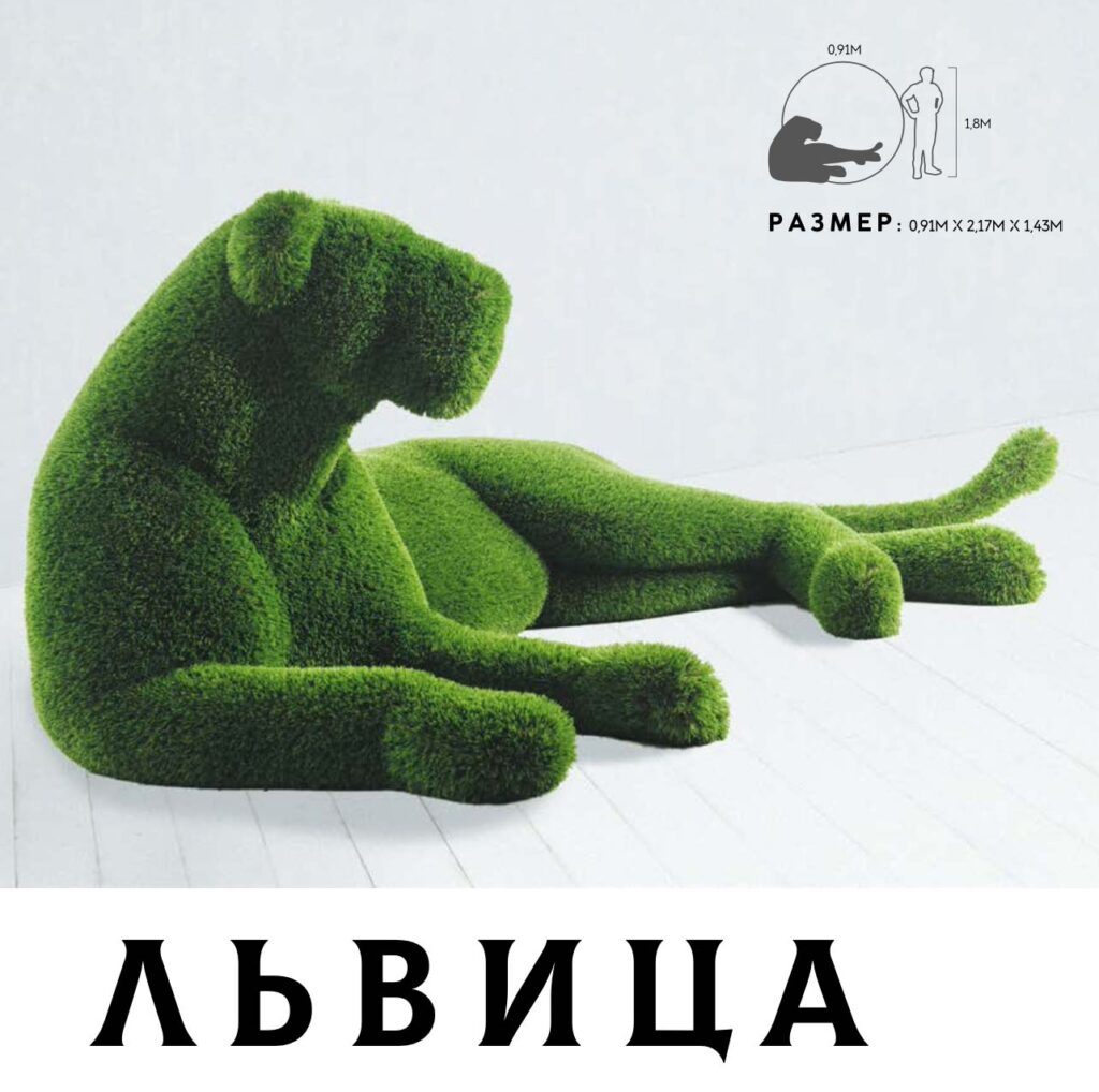Львица