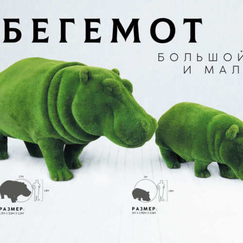 Бегемот большой и малый