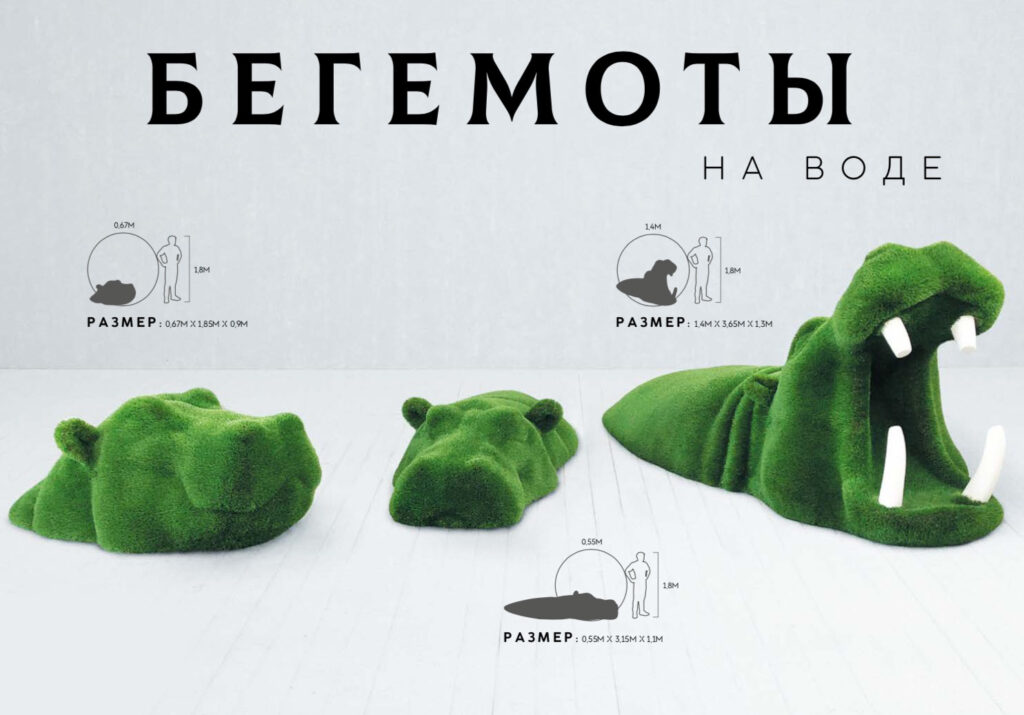 Бегемоты на воде