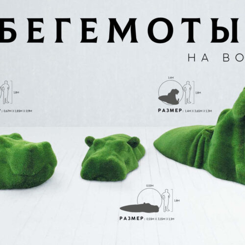 Бегемоты на воде