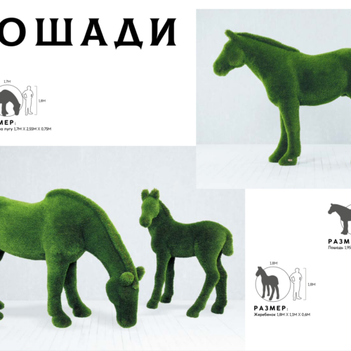 Лошади